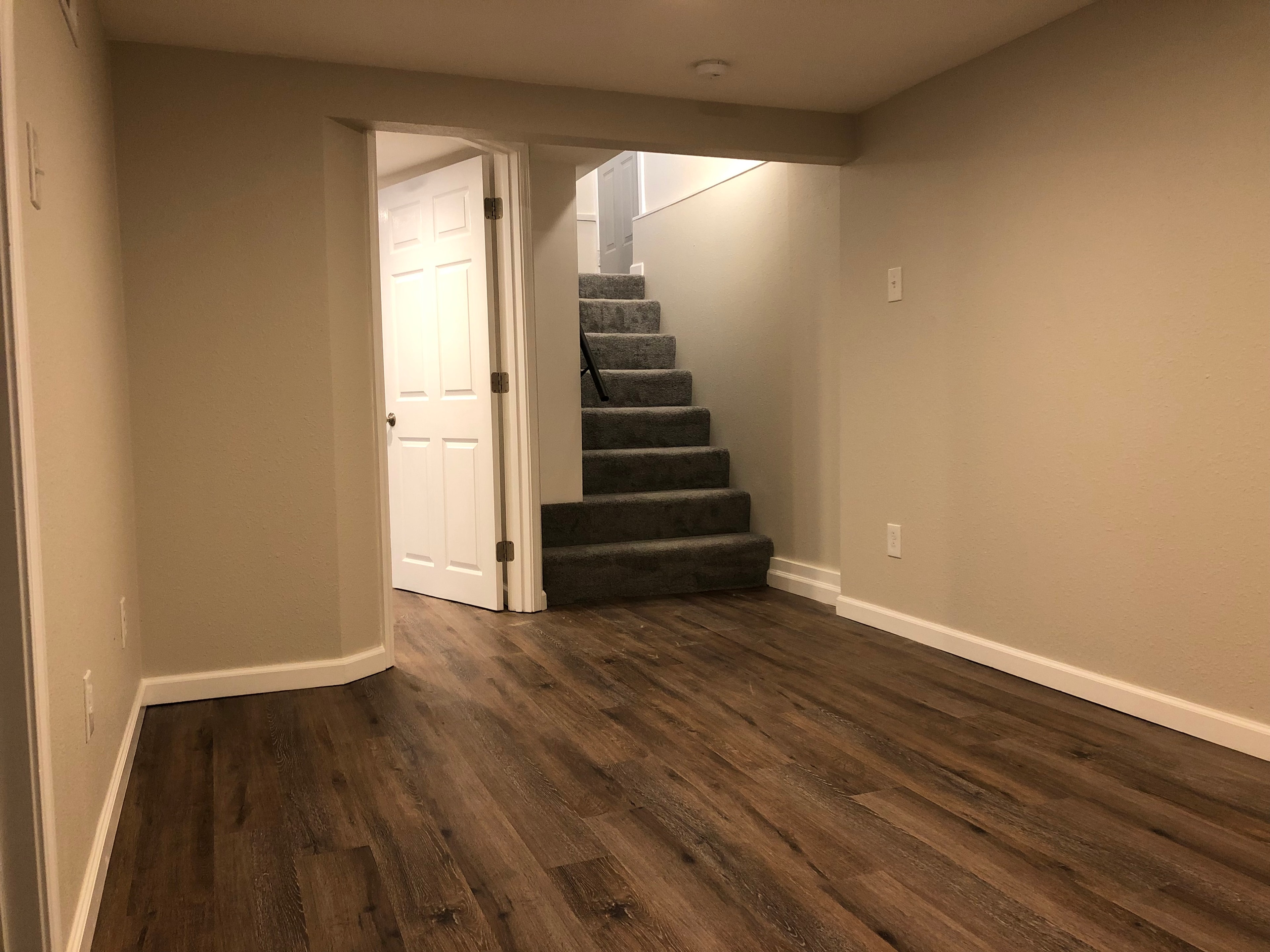 Basement Living Space